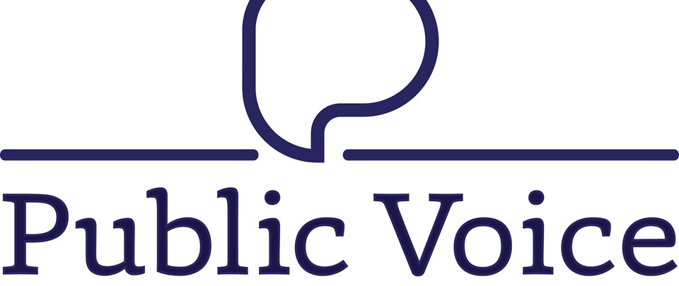Public Voice - Chief Executive Officer - Closing Date - 10 November 5pm