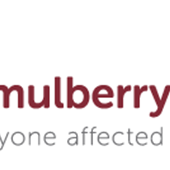 Reminder - Closing date for the Mulberry Centre Chair of Trustees position is Friday 4th September - apply now!